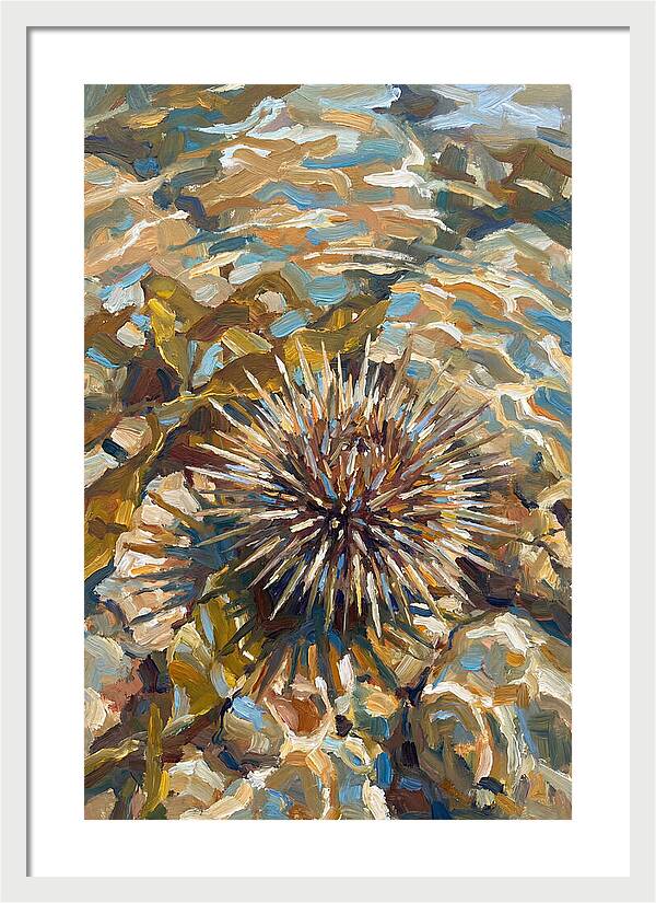 Sea Urchin Among Rocks
