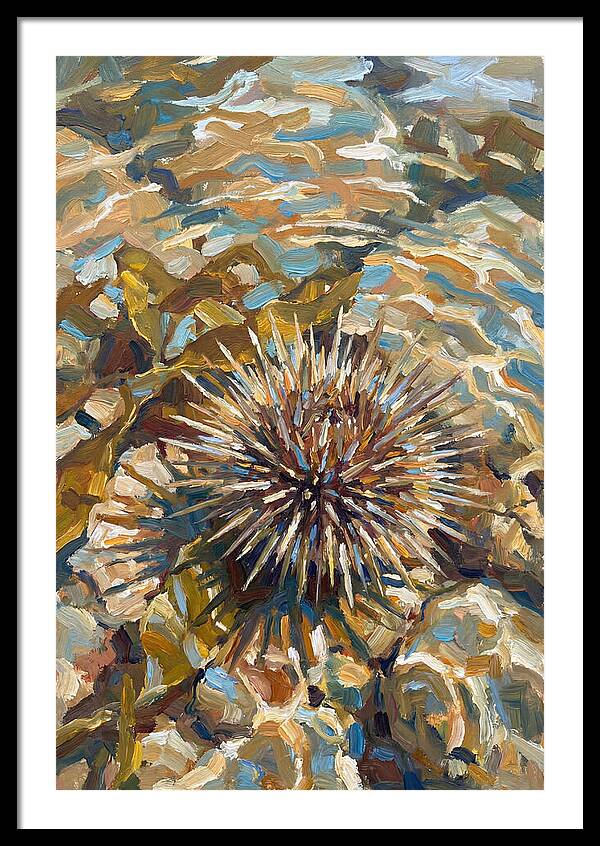 Sea Urchin Among Rocks