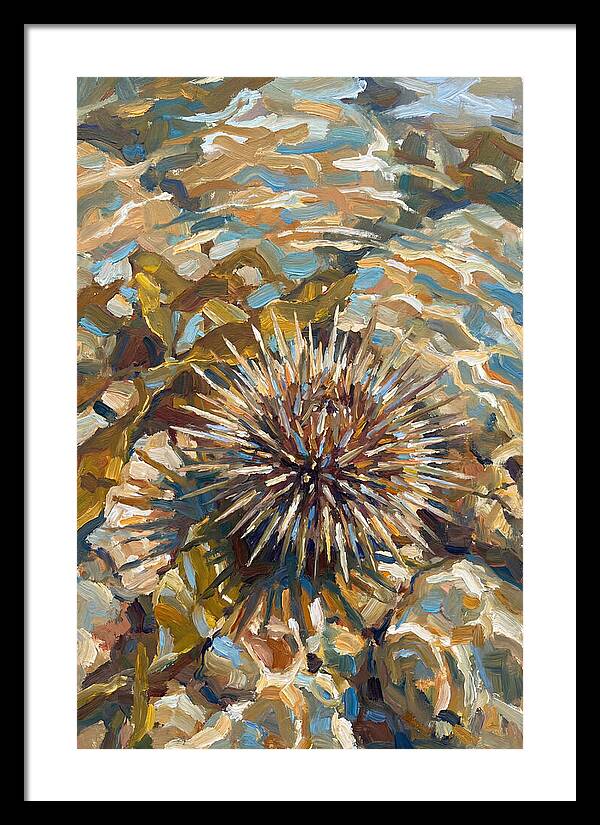 Sea Urchin Among Rocks