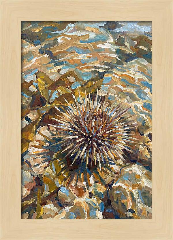Sea Urchin Among Rocks