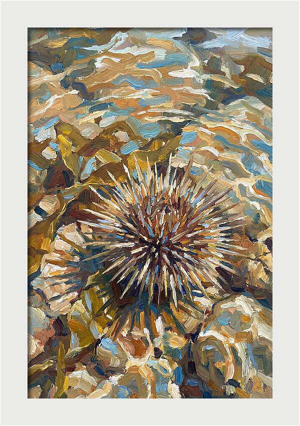 Sea Urchin Among Rocks