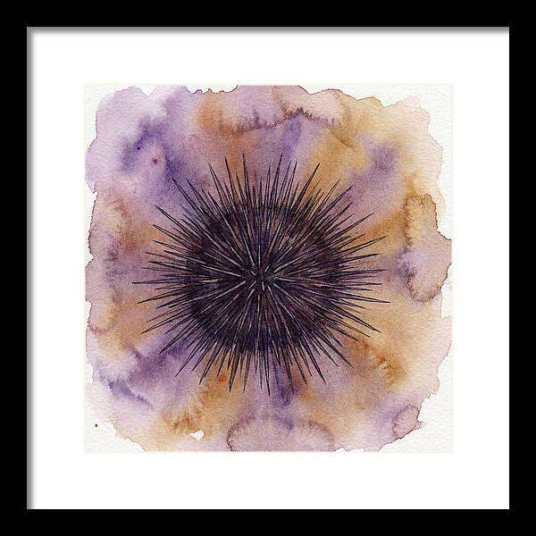 Sea Urchin Elegance