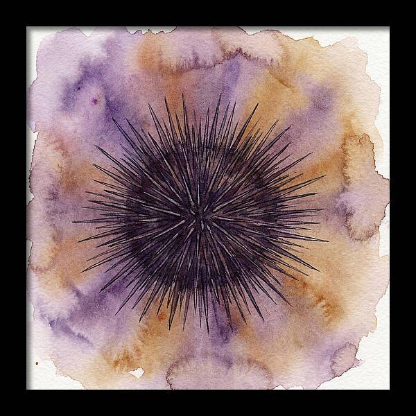 Sea Urchin Elegance