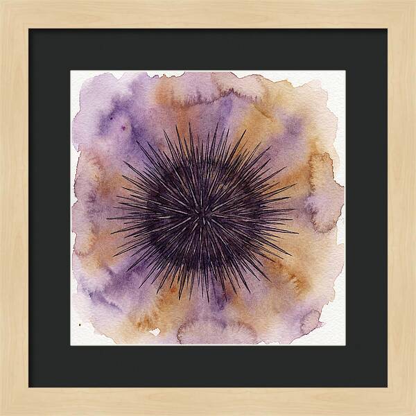 Sea Urchin Elegance