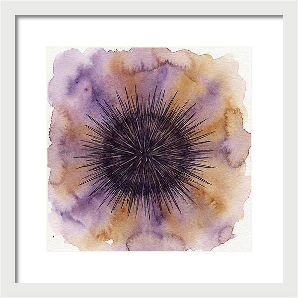 Sea Urchin Elegance