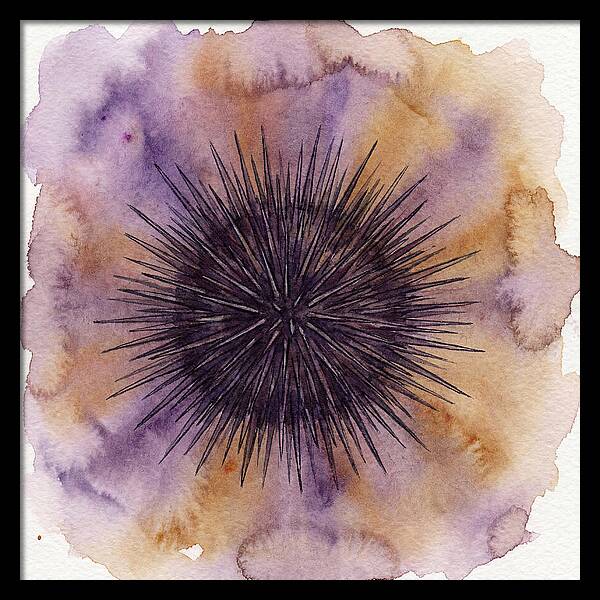 Sea Urchin Elegance