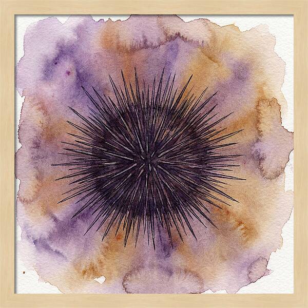 Sea Urchin Elegance