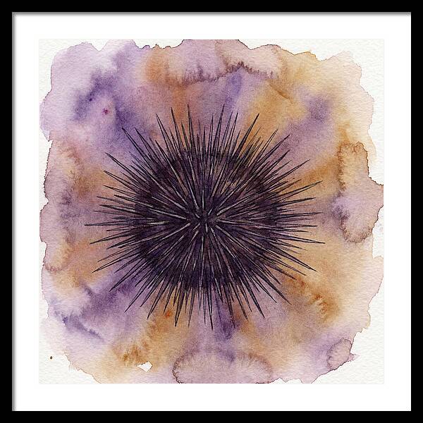 Sea Urchin Elegance