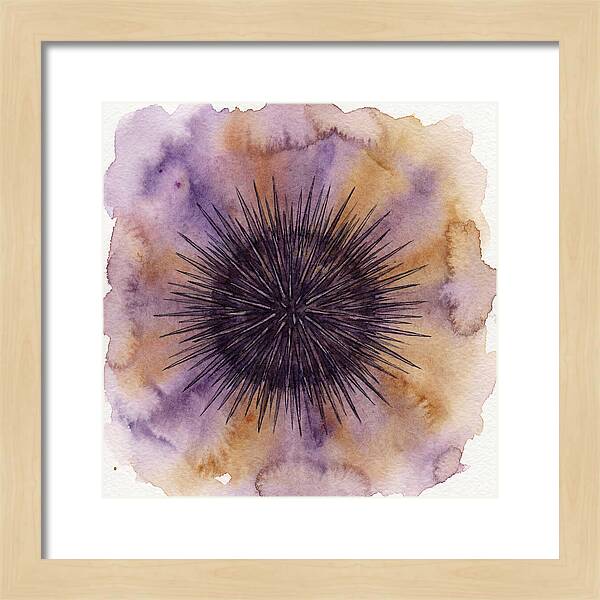 Sea Urchin Elegance