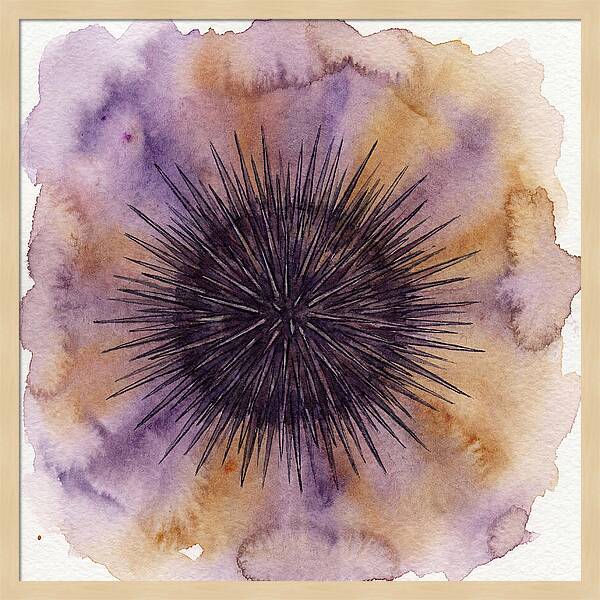 Sea Urchin Elegance