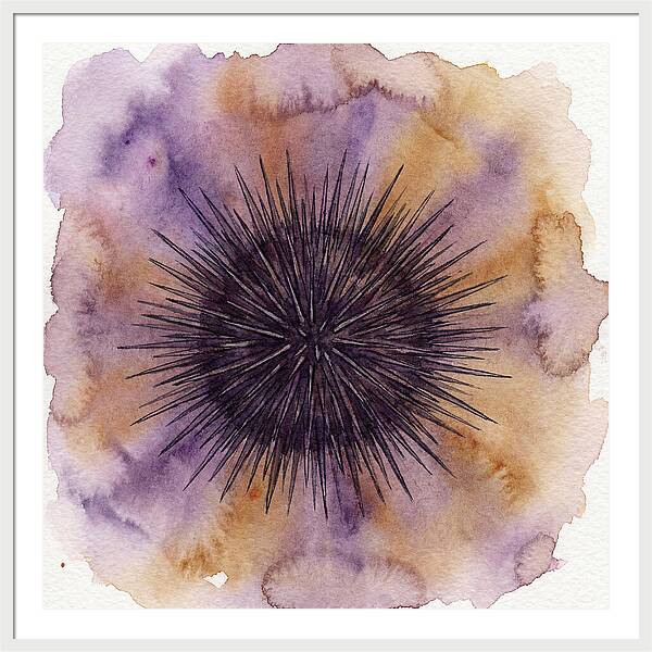 Sea Urchin Elegance
