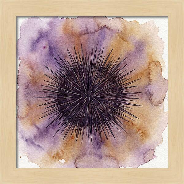 Sea Urchin Elegance