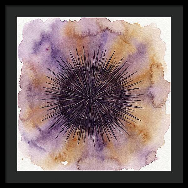 Sea Urchin Elegance