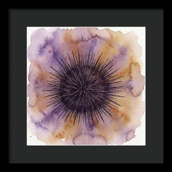 Sea Urchin Elegance