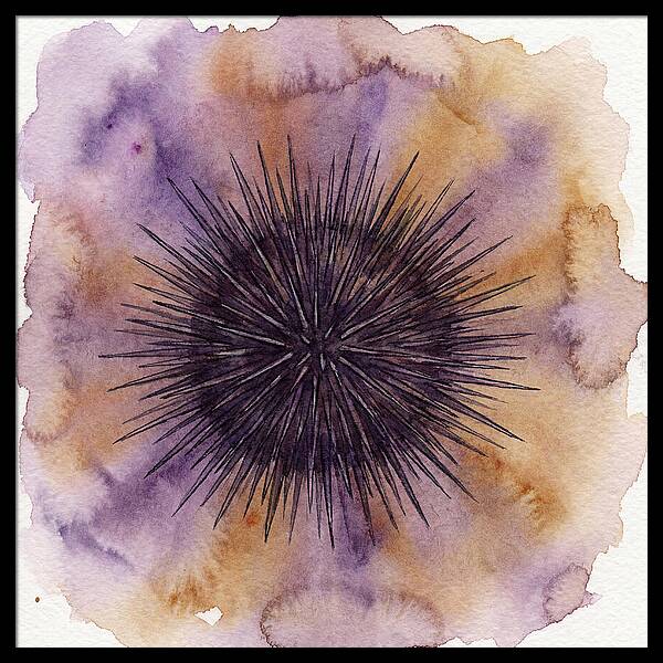 Sea Urchin Elegance