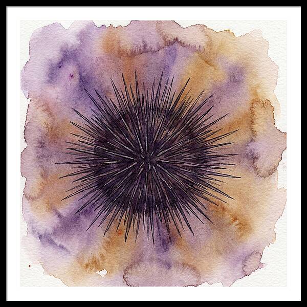 Sea Urchin Elegance