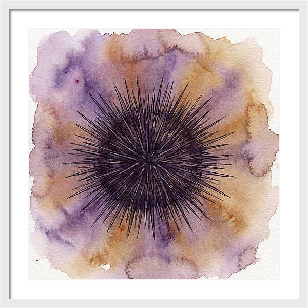 Sea Urchin Elegance