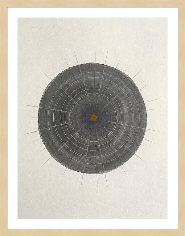Sea Urchin Minimalism