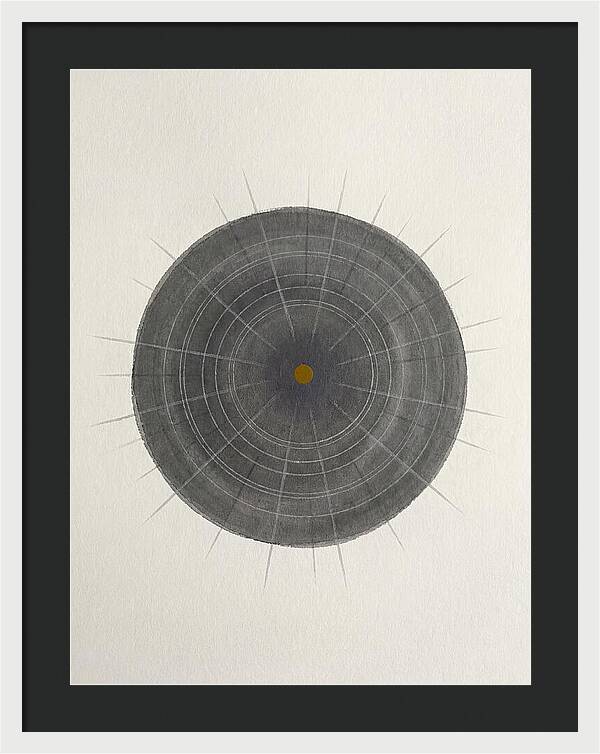 Sea Urchin Minimalism
