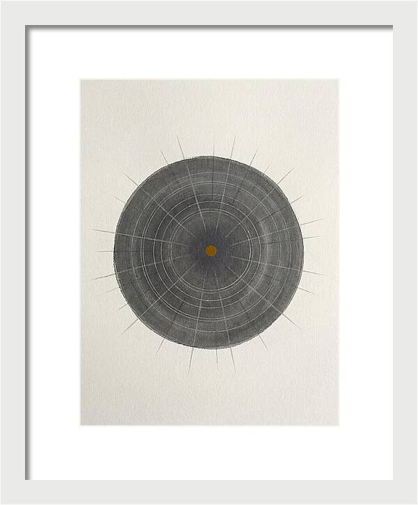 Sea Urchin Minimalism