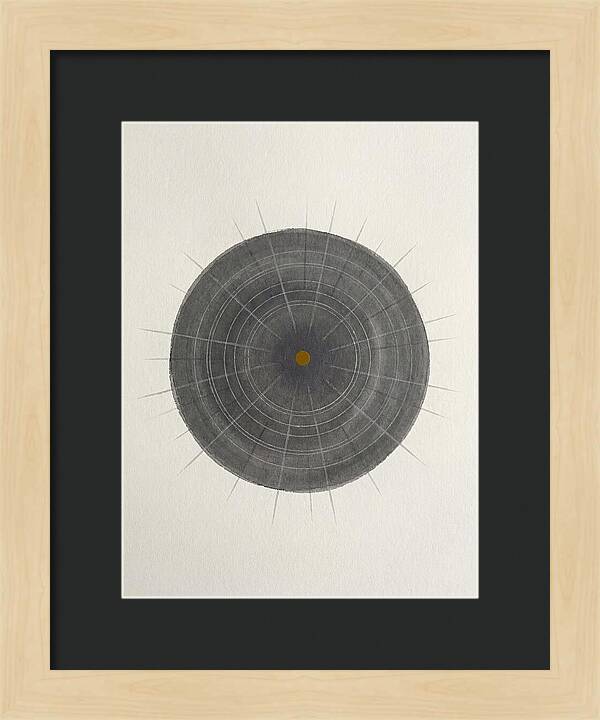 Sea Urchin Minimalism