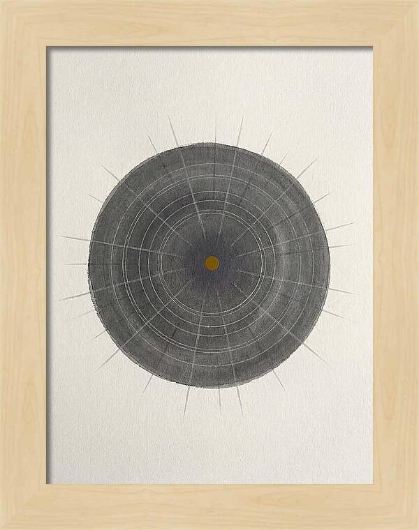 Sea Urchin Minimalism