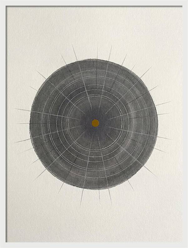 Sea Urchin Minimalism