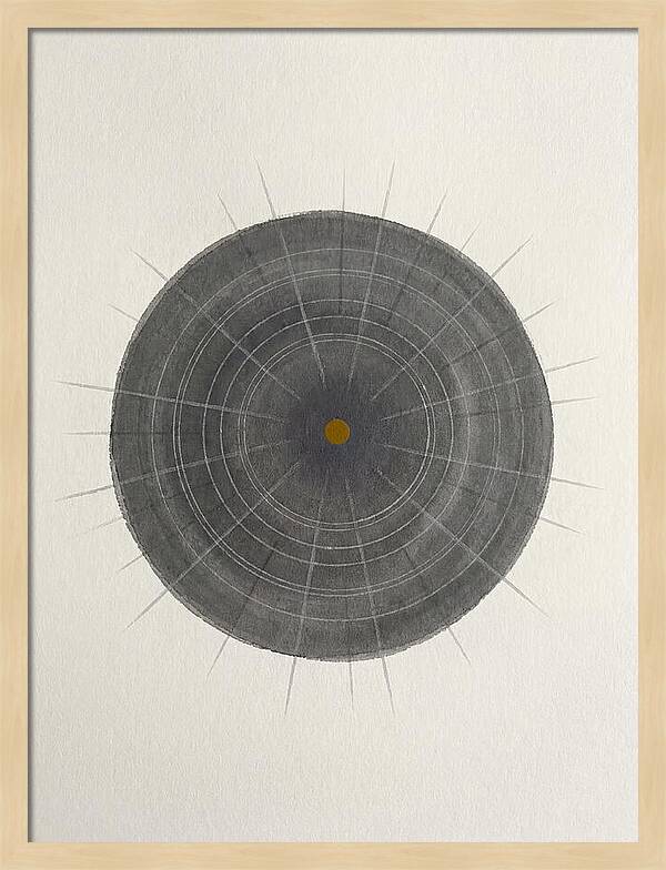 Sea Urchin Minimalism