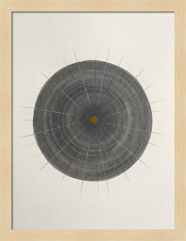 Sea Urchin Minimalism