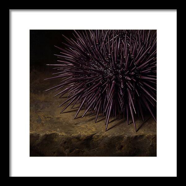 Sea Urchin Realism