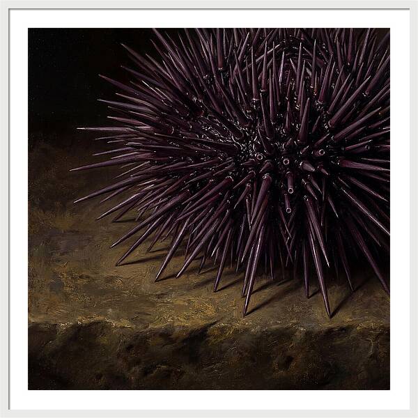 Sea Urchin Realism