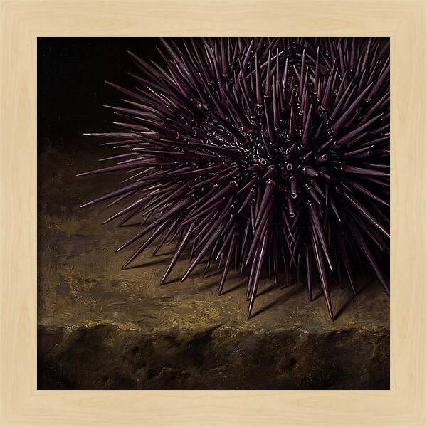 Sea Urchin Realism