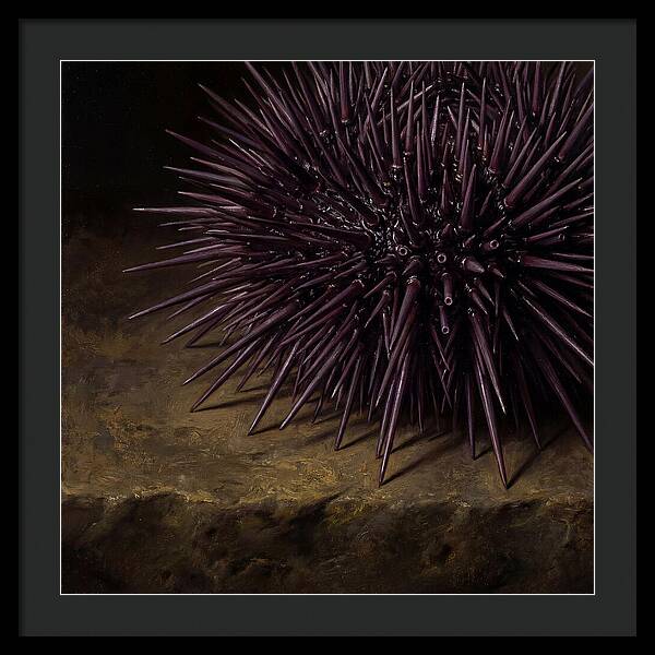 Sea Urchin Realism