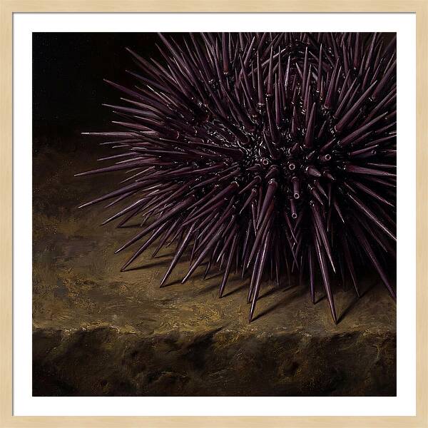 Sea Urchin Realism