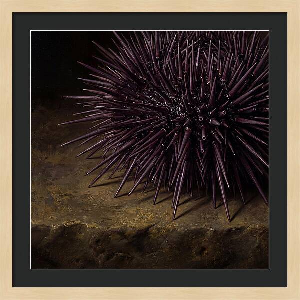Sea Urchin Realism