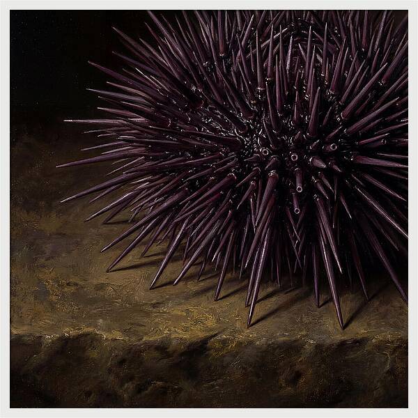 Sea Urchin Realism