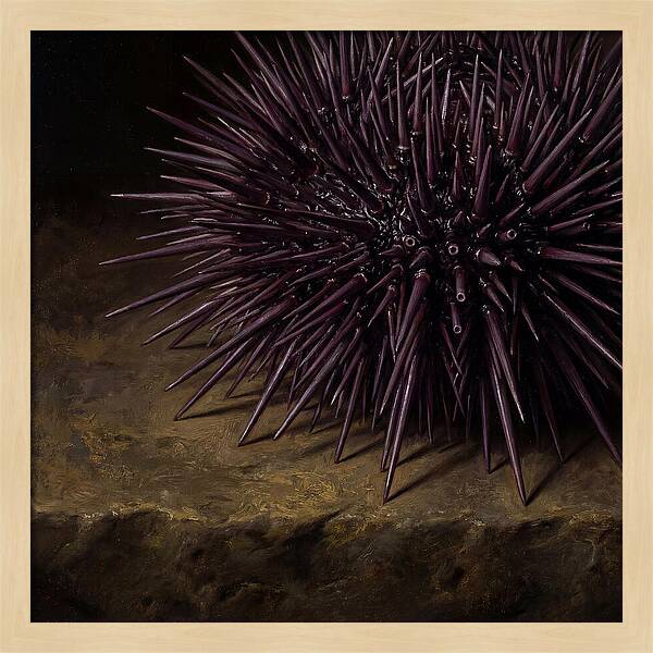 Sea Urchin Realism