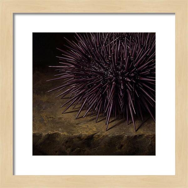 Sea Urchin Realism