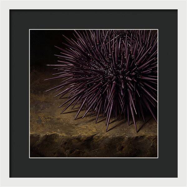 Sea Urchin Realism
