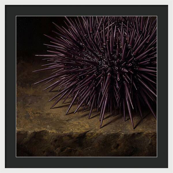 Sea Urchin Realism