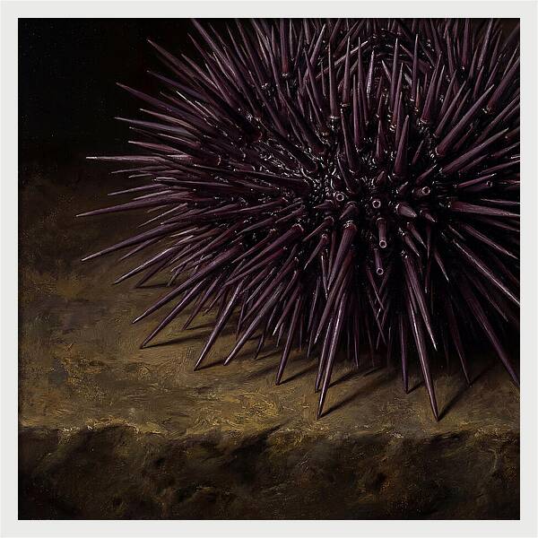 Sea Urchin Realism