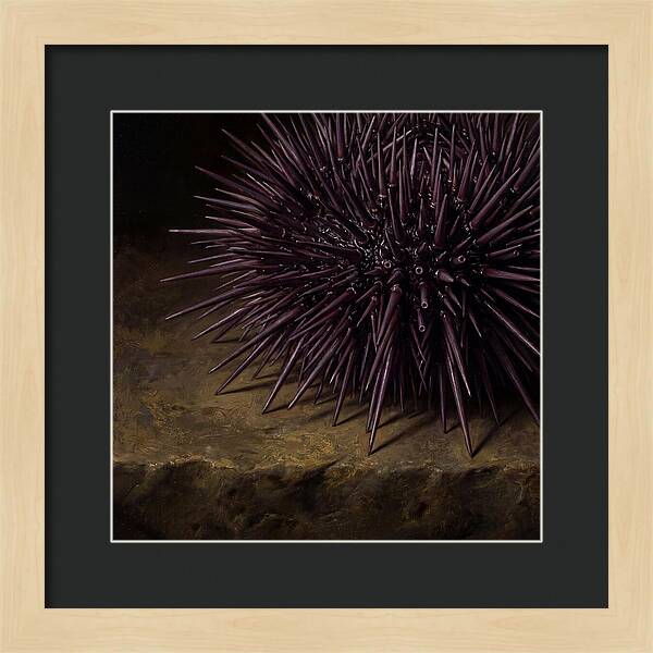 Sea Urchin Realism