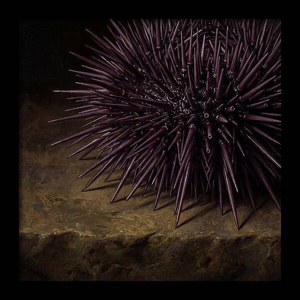 Sea Urchin Realism