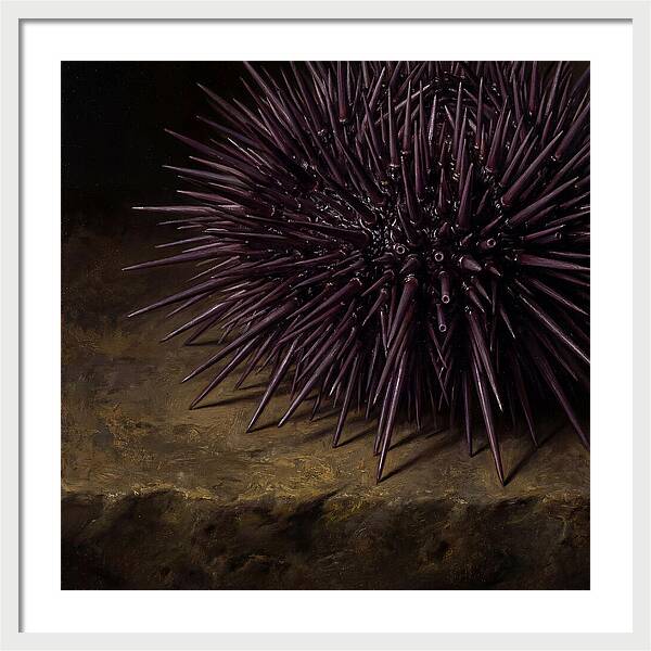 Sea Urchin Realism