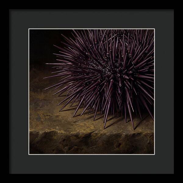 Sea Urchin Realism