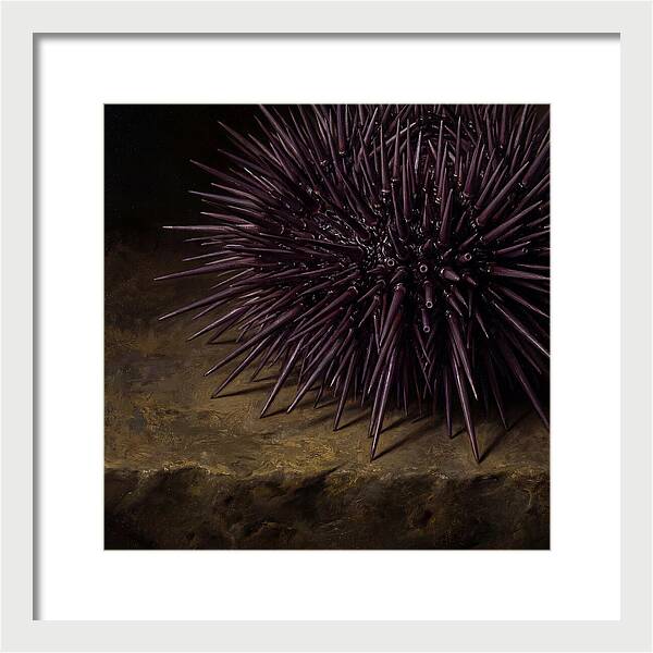 Sea Urchin Realism