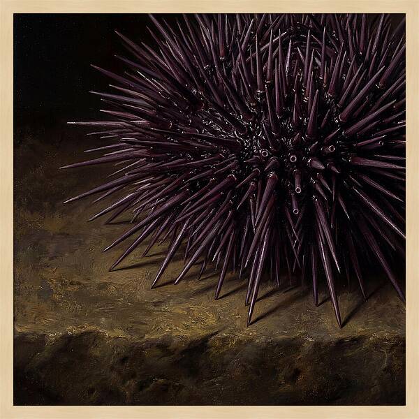 Sea Urchin Realism