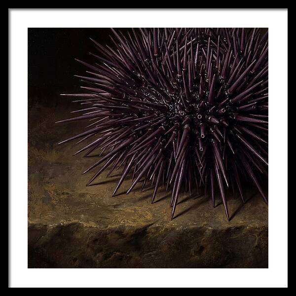 Sea Urchin Realism