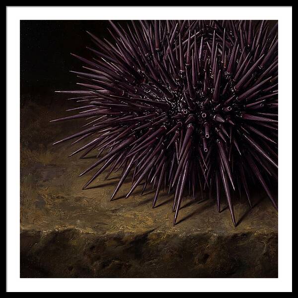 Sea Urchin Realism