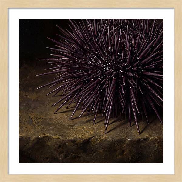Sea Urchin Realism